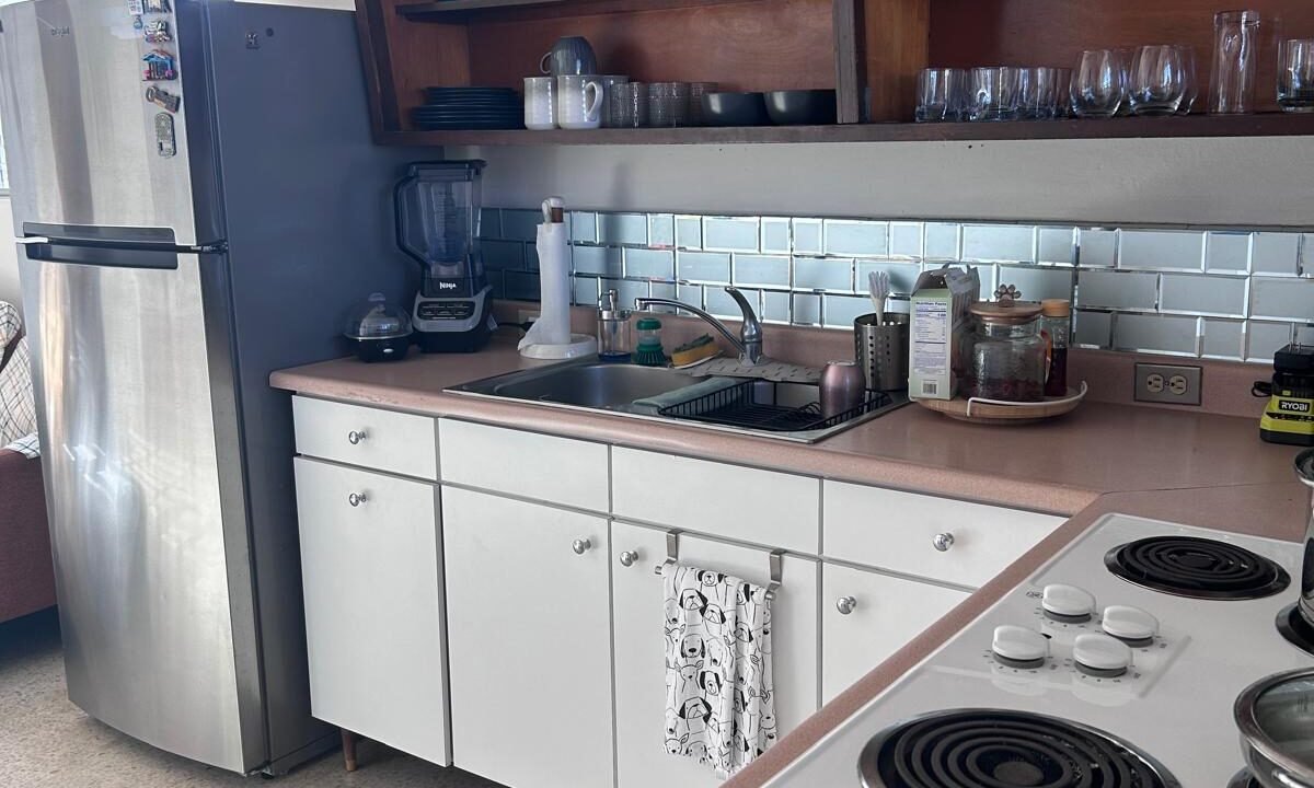 PHOTO-2026-02-20-07-47-53 (3)