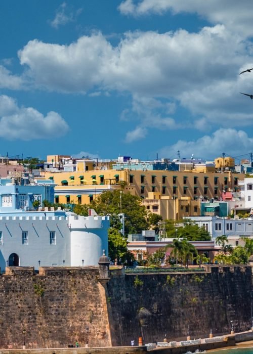 BANNER - ROQUE REALTY